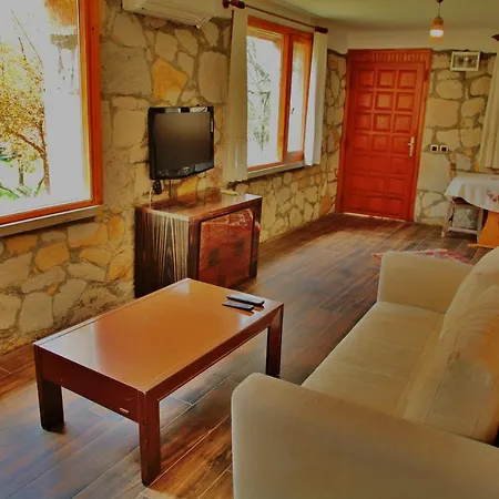 Otel The Mira House *